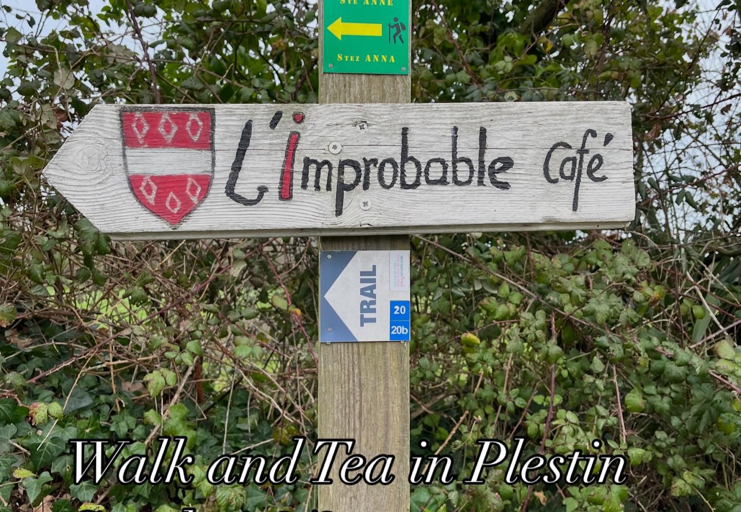 Nature en anglais recadrée